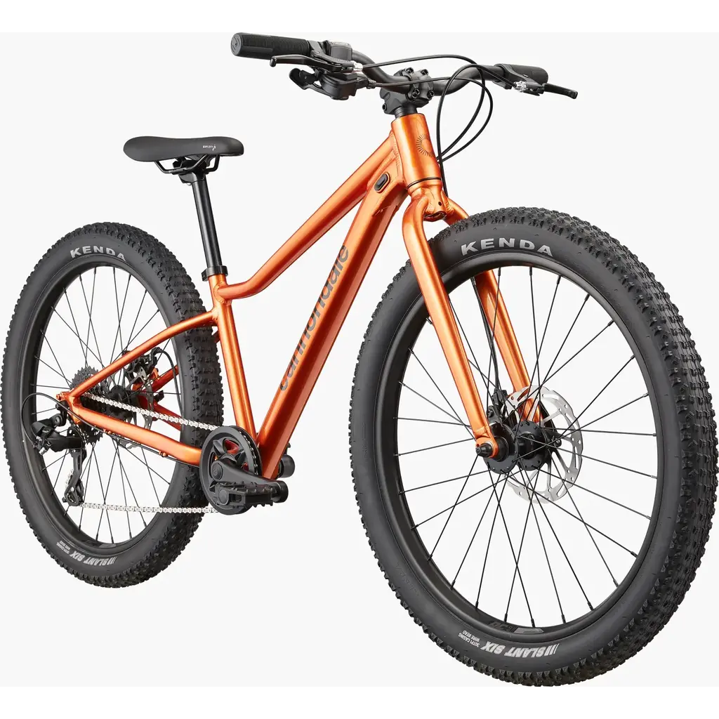 Cannondale Cannondale Kids Trail Plus 24" - FOR