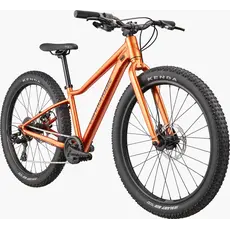 Cannondale Cannondale Kids Trail Plus 24" - FOR