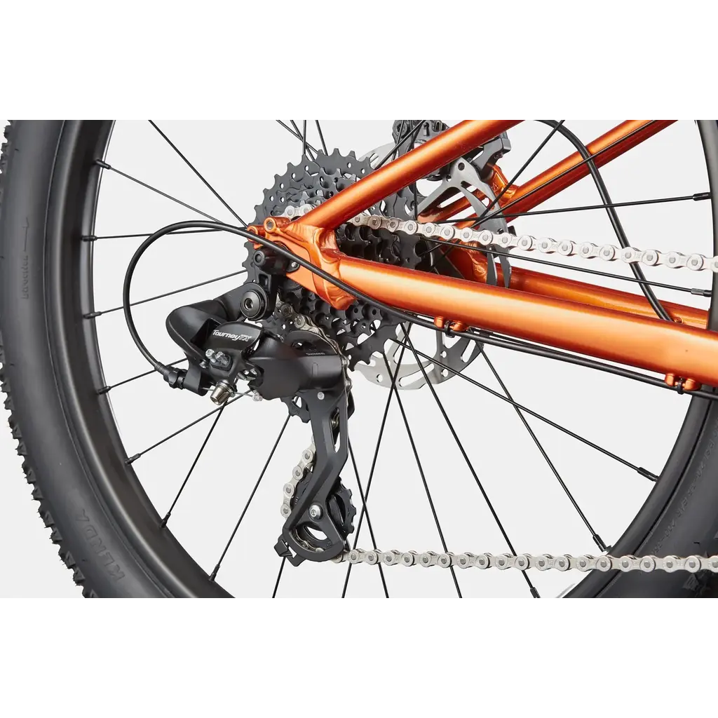 Cannondale Cannondale Kids Trail Plus 24" - FOR