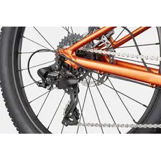 Cannondale Cannondale Kids Trail Plus 24" - FOR