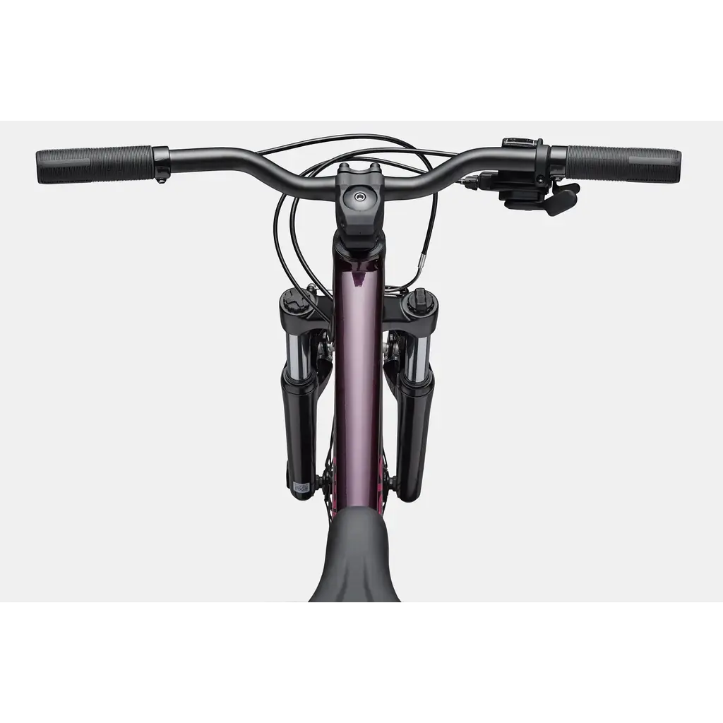 Cannondale Cannondale Kids Trail 24" -Royal Purple