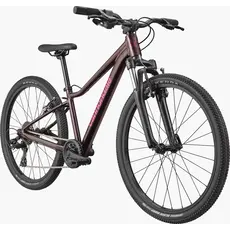 Cannondale Cannondale Kids Trail 24" -Royal Purple