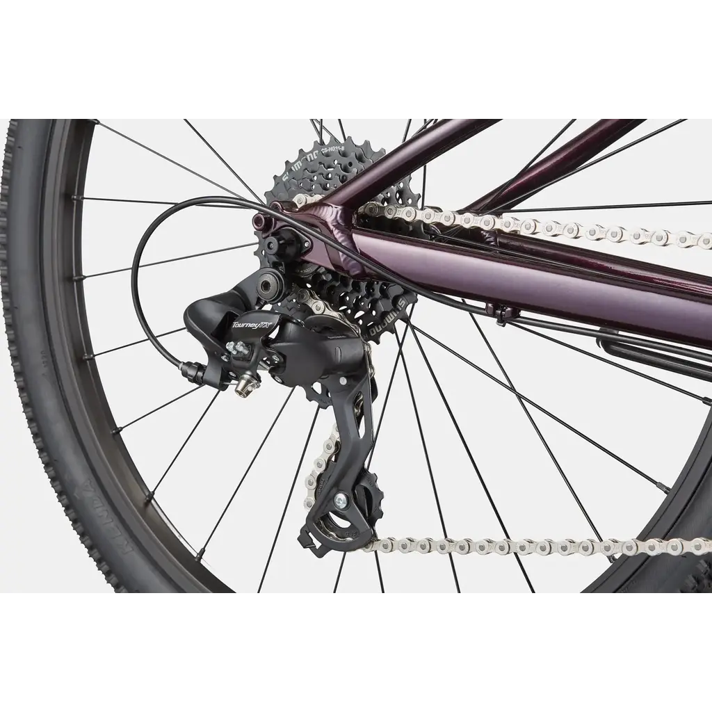 Cannondale Cannondale Kids Trail 24" -Royal Purple