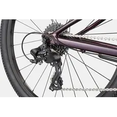 Cannondale Cannondale Kids Trail 24" -Royal Purple