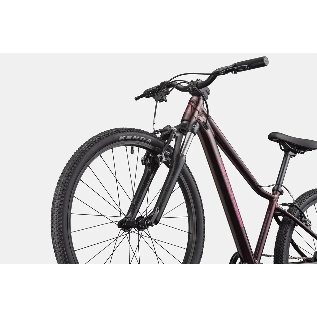 Cannondale Cannondale Kids Trail 24" -Royal Purple