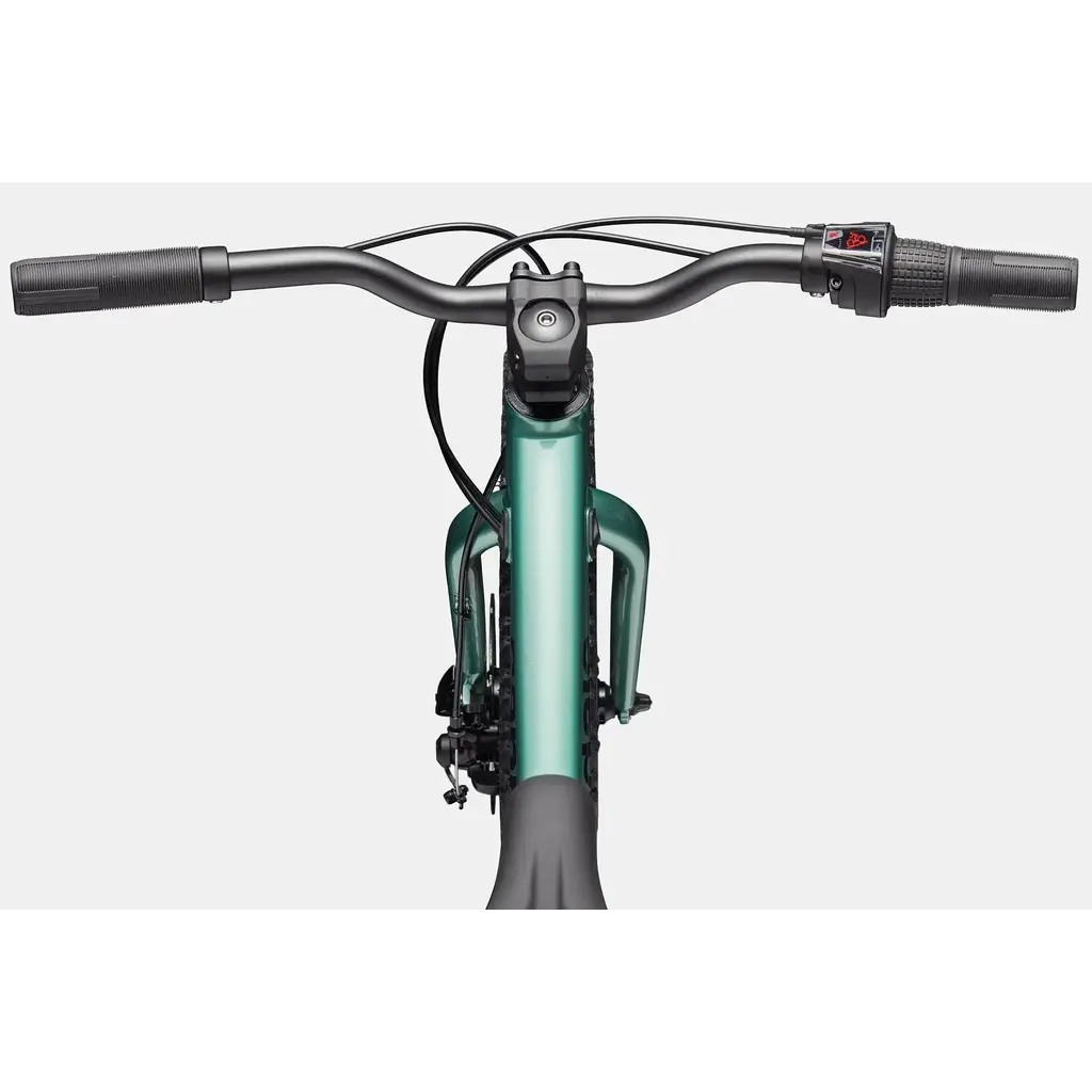 Cannondale Cannondale Kids Trail Plus 20" -Cactus Green