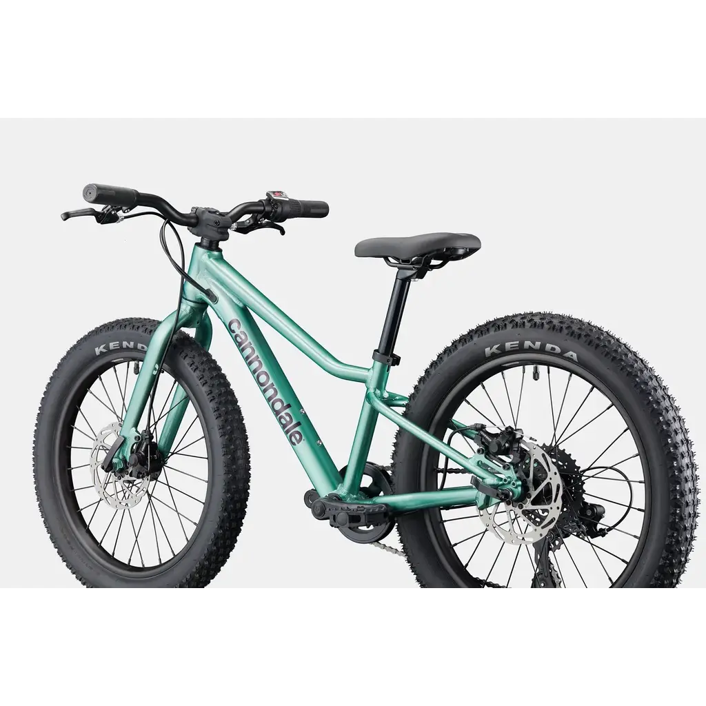 Cannondale Cannondale Kids Trail Plus 20" -Cactus Green