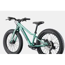 Cannondale Cannondale Kids Trail Plus 20" -Cactus Green