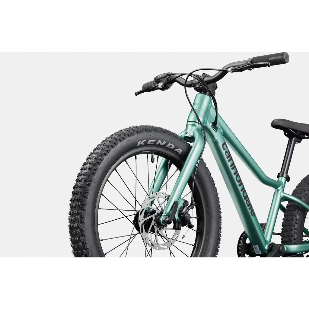 Cannondale Cannondale Kids Trail Plus 20" -Cactus Green