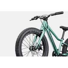 Cannondale Cannondale Kids Trail Plus 20" -Cactus Green