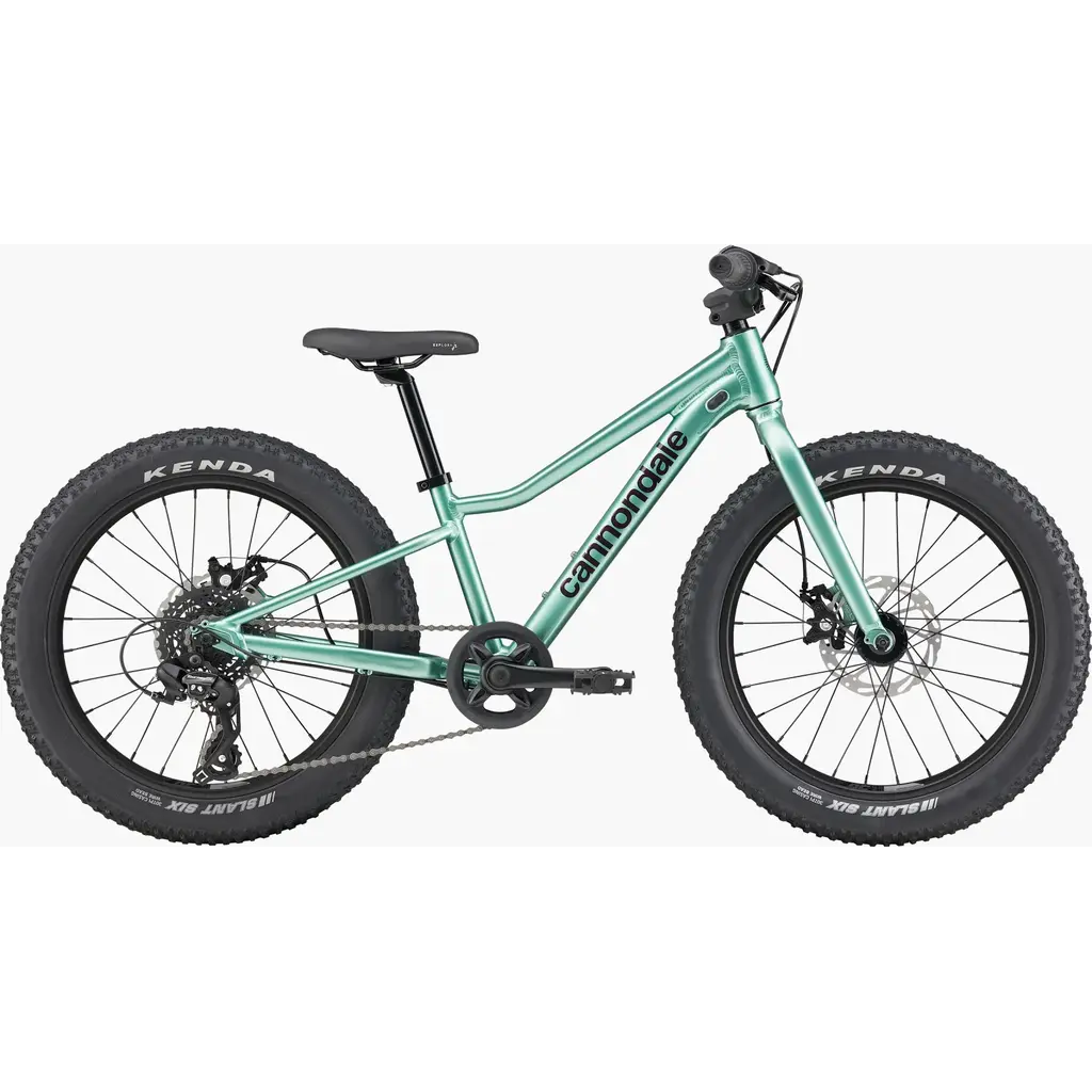 Cannondale Cannondale Kids Trail Plus 20" -Cactus Green