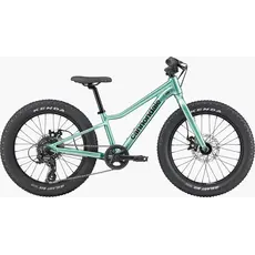 Cannondale Cannondale Kids Trail Plus 20" -Cactus Green
