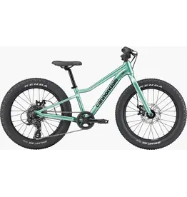 Cannondale Cannondale Kids Trail Plus 20" -Cactus Green