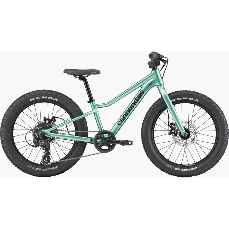 Cannondale Cannondale Kids Trail Plus 20" -Cactus Green
