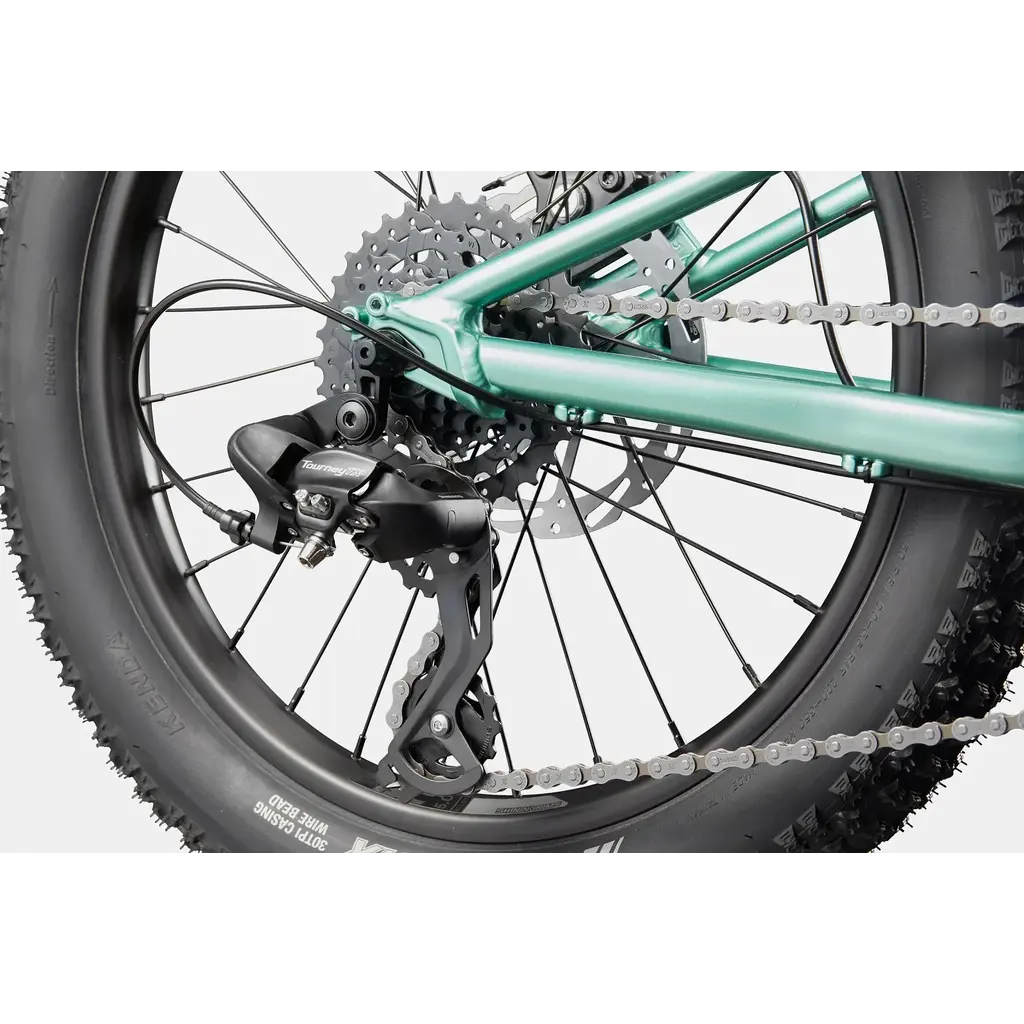 Cannondale Cannondale Kids Trail Plus 20" -Cactus Green