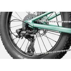 Cannondale Cannondale Kids Trail Plus 20" -Cactus Green
