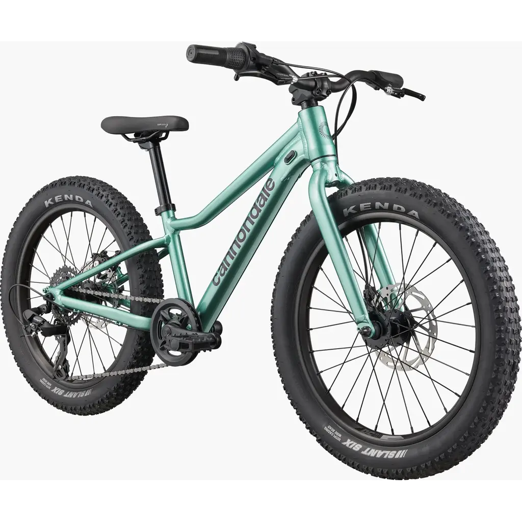 Cannondale Cannondale Kids Trail Plus 20" -Cactus Green