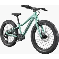Cannondale Cannondale Kids Trail Plus 20" -Cactus Green