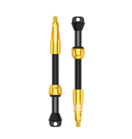 LEZYNE Lezyne TLR Valve Pro 60mm Gold