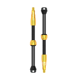 LEZYNE Lezyne TLR Valve Pro 80mm Gold