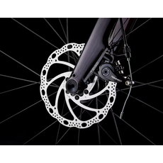 Trek Trek Domane AL 2 Gen 4 - Crimson to Dark Carmine Fade