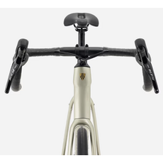 Trek 2027 Domane AL 5 Gen 4 - Gloss Supernova