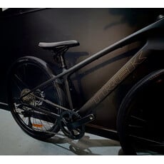 Trek Trek FX Sport SL 4 Matte Onyx Carbon - XS Custom