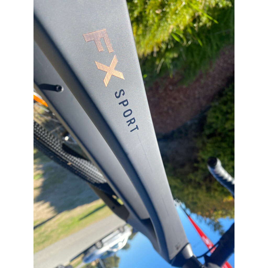 Trek Trek FX Sport SL 4 Matte Onyx Carbon - XS Custom Gravel
