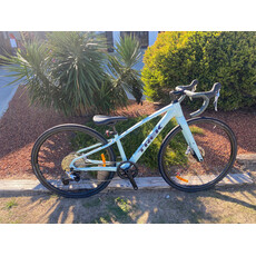 Trek Trek FX 3 Gen 4 Magic Mint XS Custom Gravel
