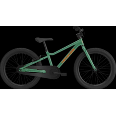 Cannondale Cannondale Kids trail 20"Single Speed - Spruce Green