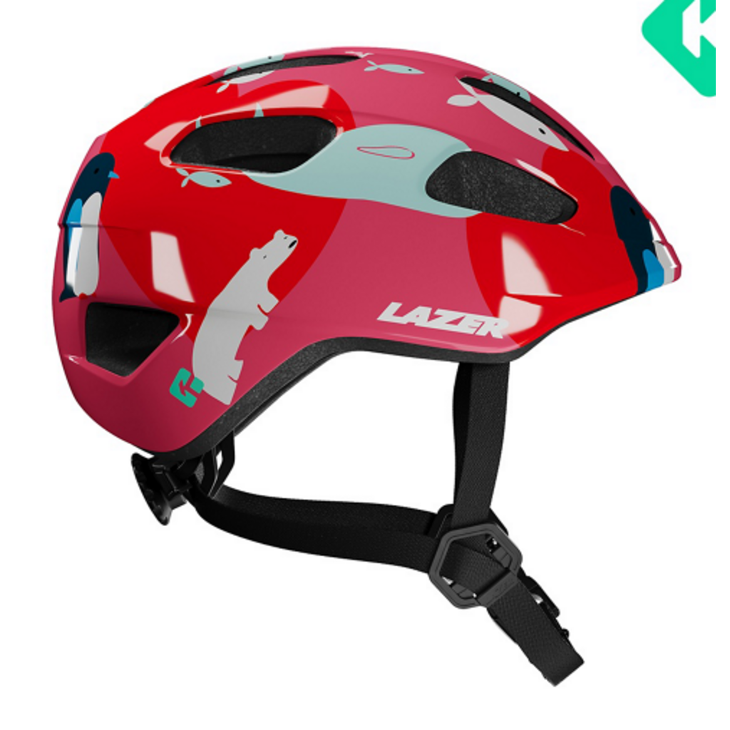 Lazer Lazer Helmet Pnut 2.0 KC Unisize Toddler 46cm-52cm