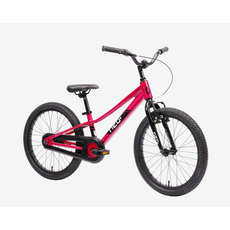 Neo Neo+ 20"Chrome Bike