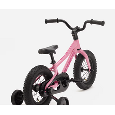 Trek 2027 Trek Precaliber 12 -Pink Frosting