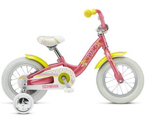 schwinn 12