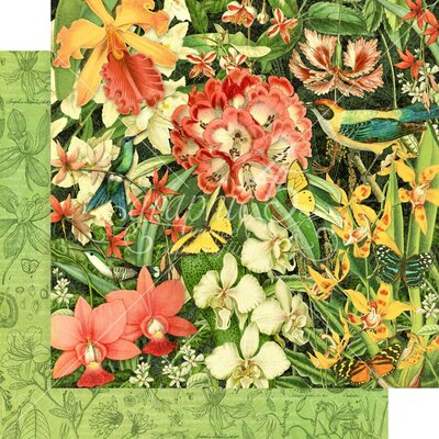 Graphic 45 Lost In Paradise Cardstock 12X12 (resplendent plumage) Graphic 45 Lost In Paradise Cardstock 12X12 (resplendent plumage)
