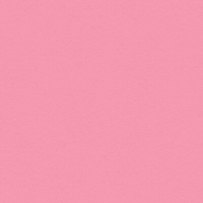 My Colors My Colors Smooth Cardstock 12X12 (petal pink) My Colors My Colors Smooth Cardstock 12X12 (petal pink)