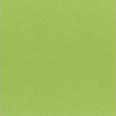 My Colors Classic 80lb Cardstock 12X12 (kiwi) My Colors Classic 80lb Cardstock 12X12 (kiwi)