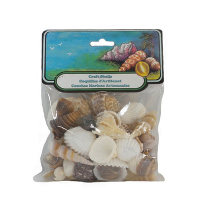 Craft Shells 20/pkg (small) Craft Shells 20/pkg (small)