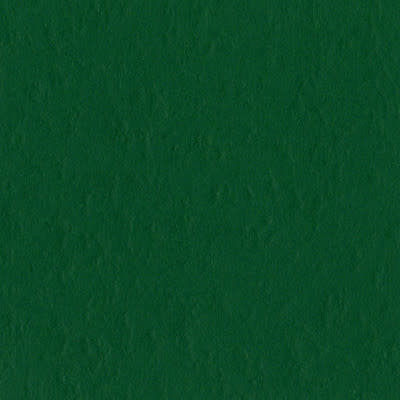 Bazzill Mono Cardstock 12X12 (classic green/classic) Bazzill Mono Cardstock 12X12 (classic green/classic)