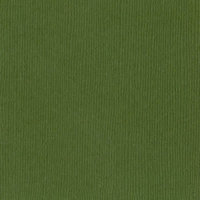 Bazzill Mono Cardstock 12X12 (nixon/canvas) Bazzill Mono Cardstock 12X12 (nixon/canvas)