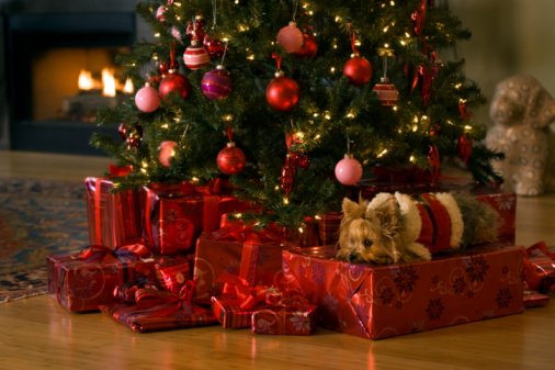 The Perfect Christmas Gifts For This Holiday Season