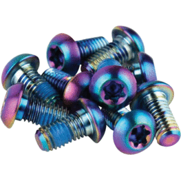 Sram Visserie T25 pour disque, arc-en-ciel  (12)