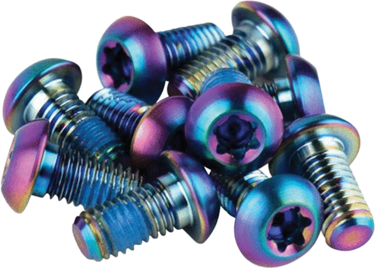 Sram Visserie T25 pour disque, arc-en-ciel  (12)