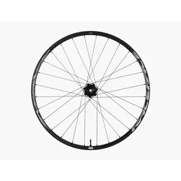 Race Face Front wheel, Turbine, 30 mm, 29'', 6 bolt, axle 15 x 110