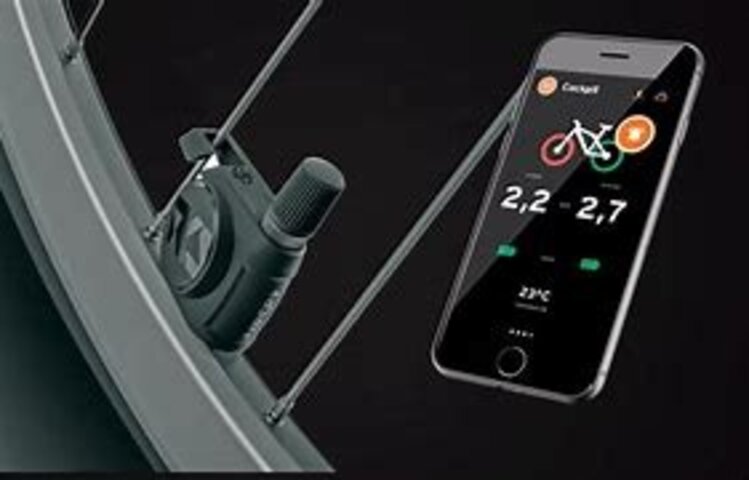 SKS SKS Airspy Interactive Air Sensors, Presta /pair