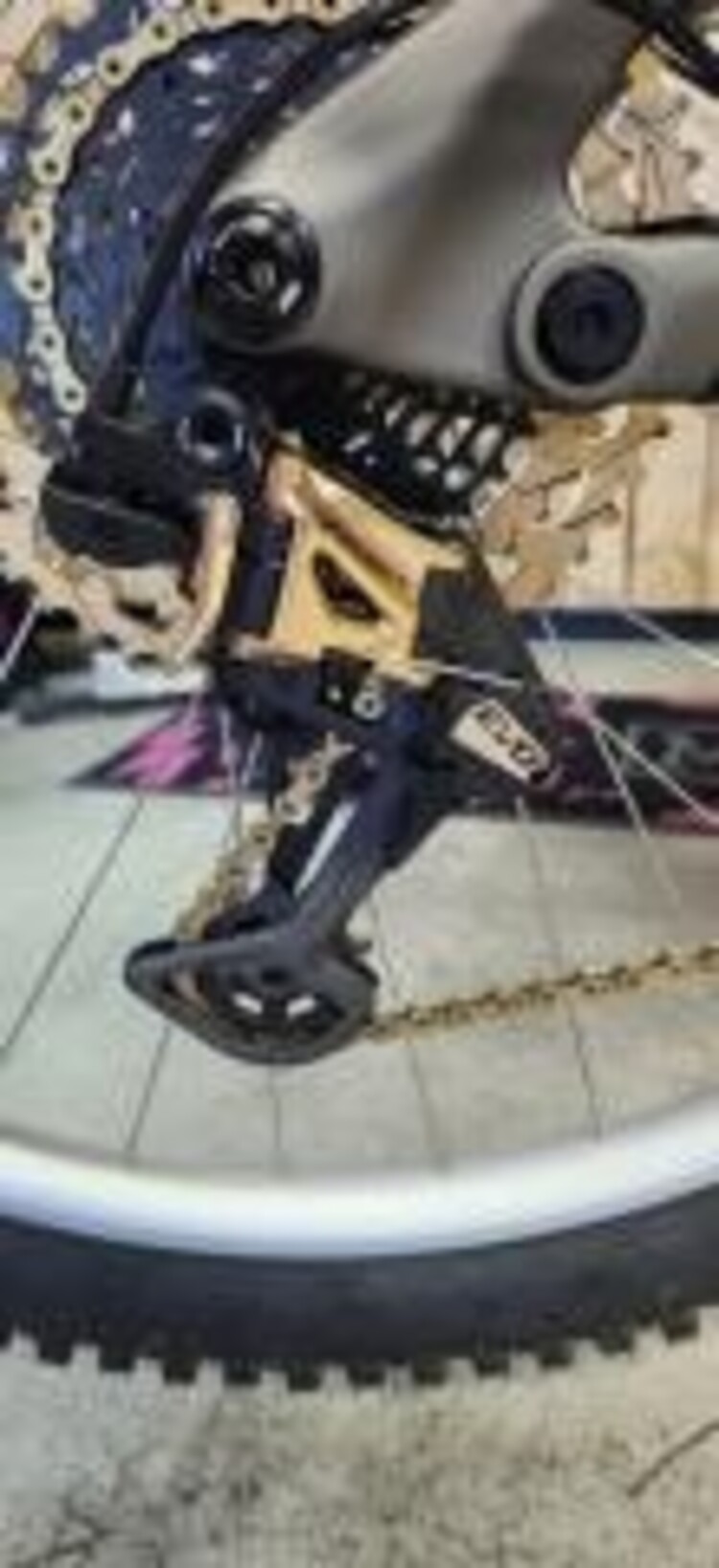 Transition Sentinel, personnalisé, Médium. Value of $10,599