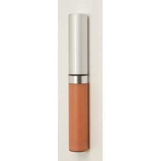 Eyes Natural Wise Disguise Concealer