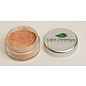 Powder Flesh Concealer Powder