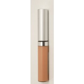 Eyes Cameo Wise Disguise Concealer