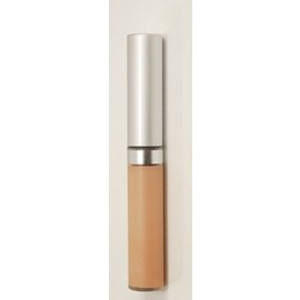 Eyes Sand Wise Disguise Concealer